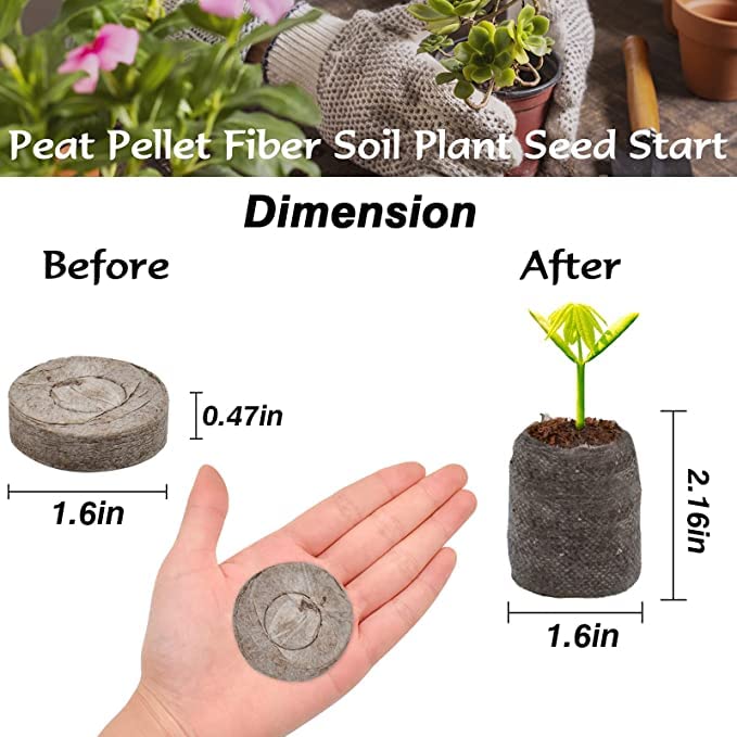 ZeeDix seedling pods expand with water for easy transplanting