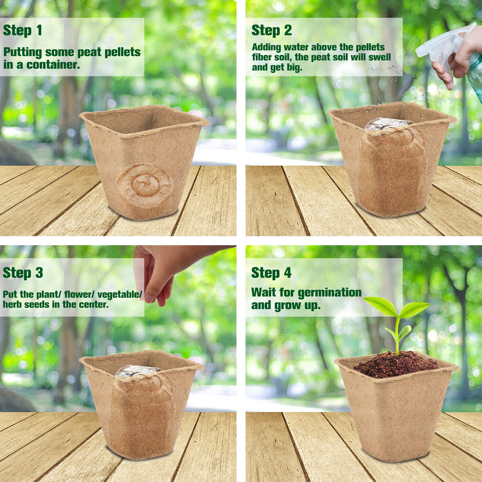 Seedlings in ZeeDix plugs are ready for planter or garden transplant.
