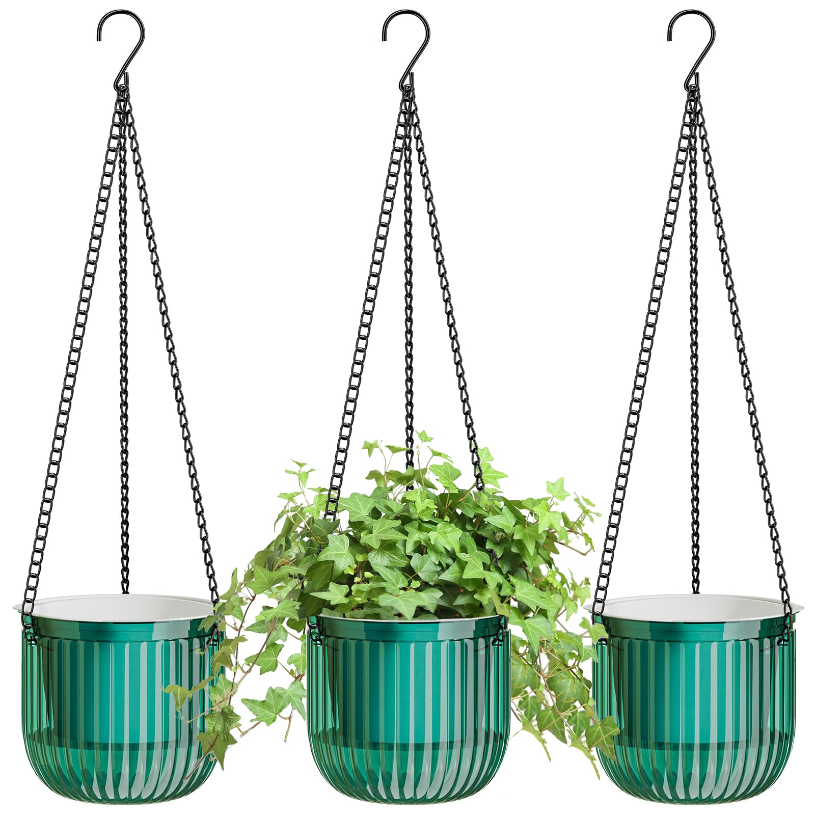 ZeeDix self-watering hanging planters with visible water level on a wall.