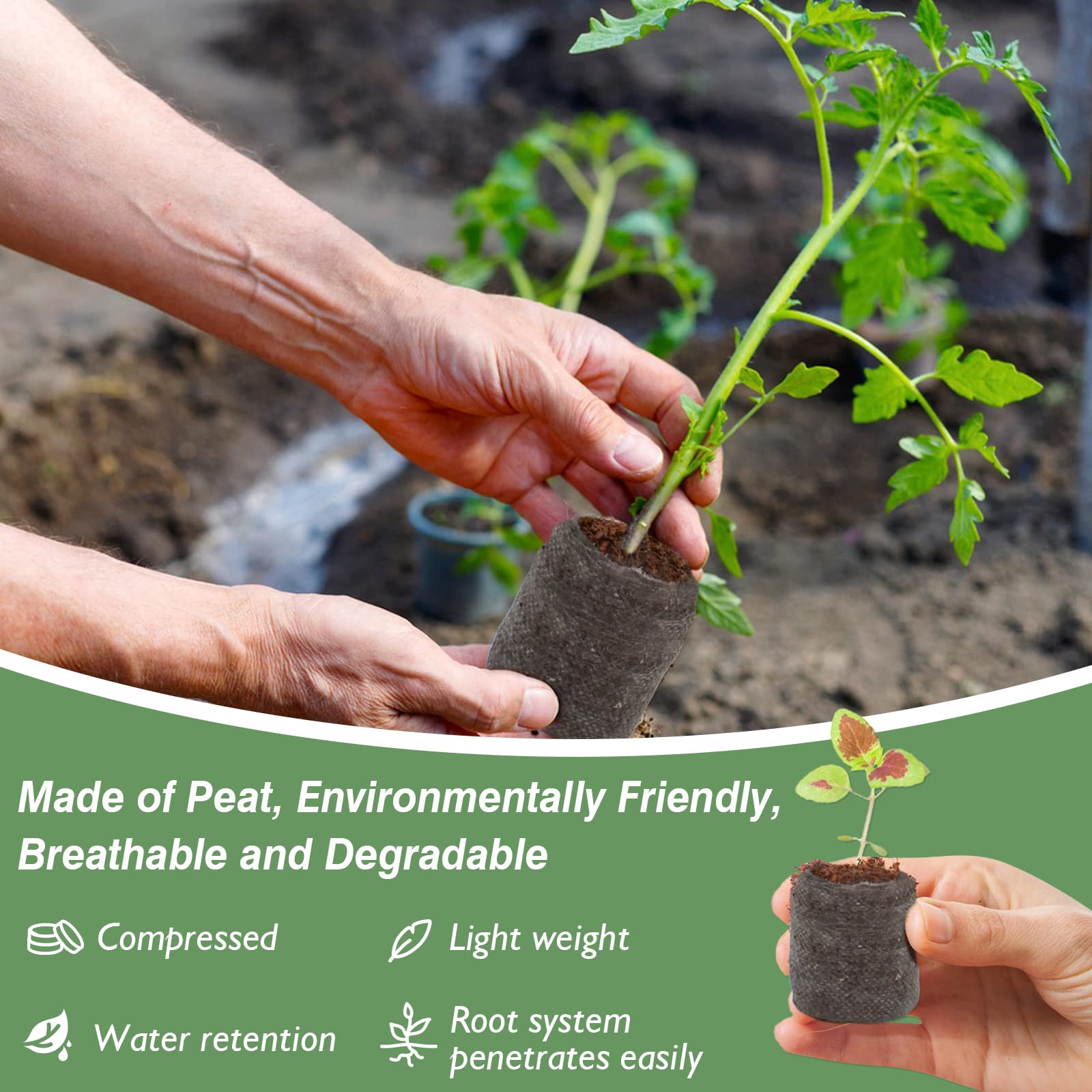 Zeedix sphagnum moss base pellets support soil-friendly roots.