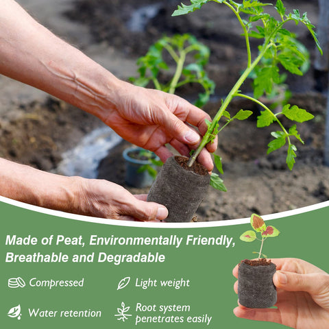 Zeedix sphagnum moss base pellets support soil-friendly roots.