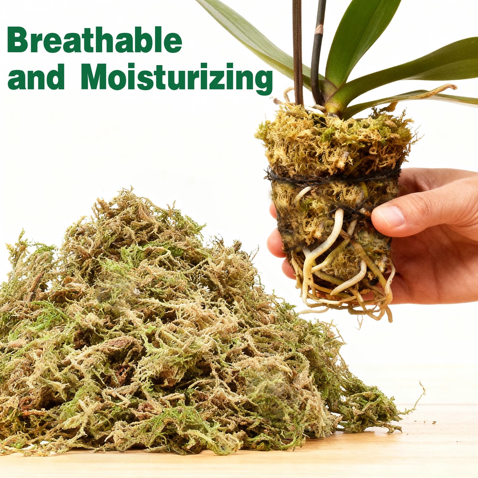 Zeedix Sphagnum Moss brick after hydration expands to 6L.