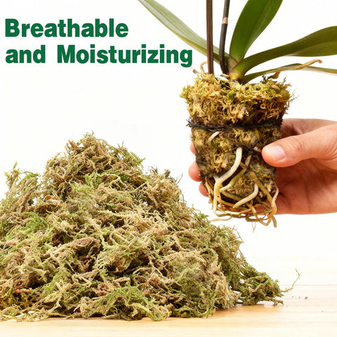 Zeedix Sphagnum Moss brick after hydration expands to 6L.