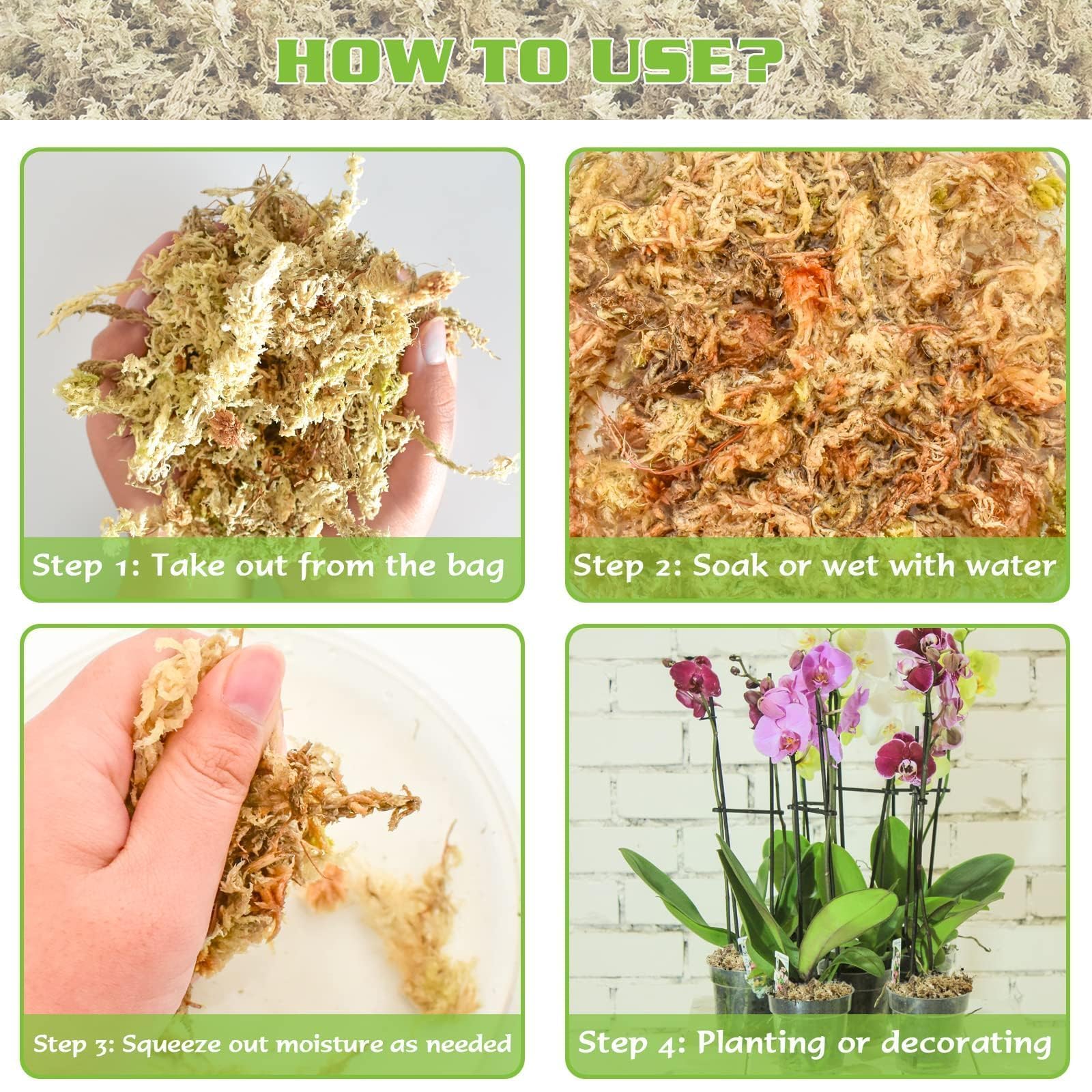 ZeeDix sphagnum moss supports carnivorous plants like sundews and Venus flytraps.