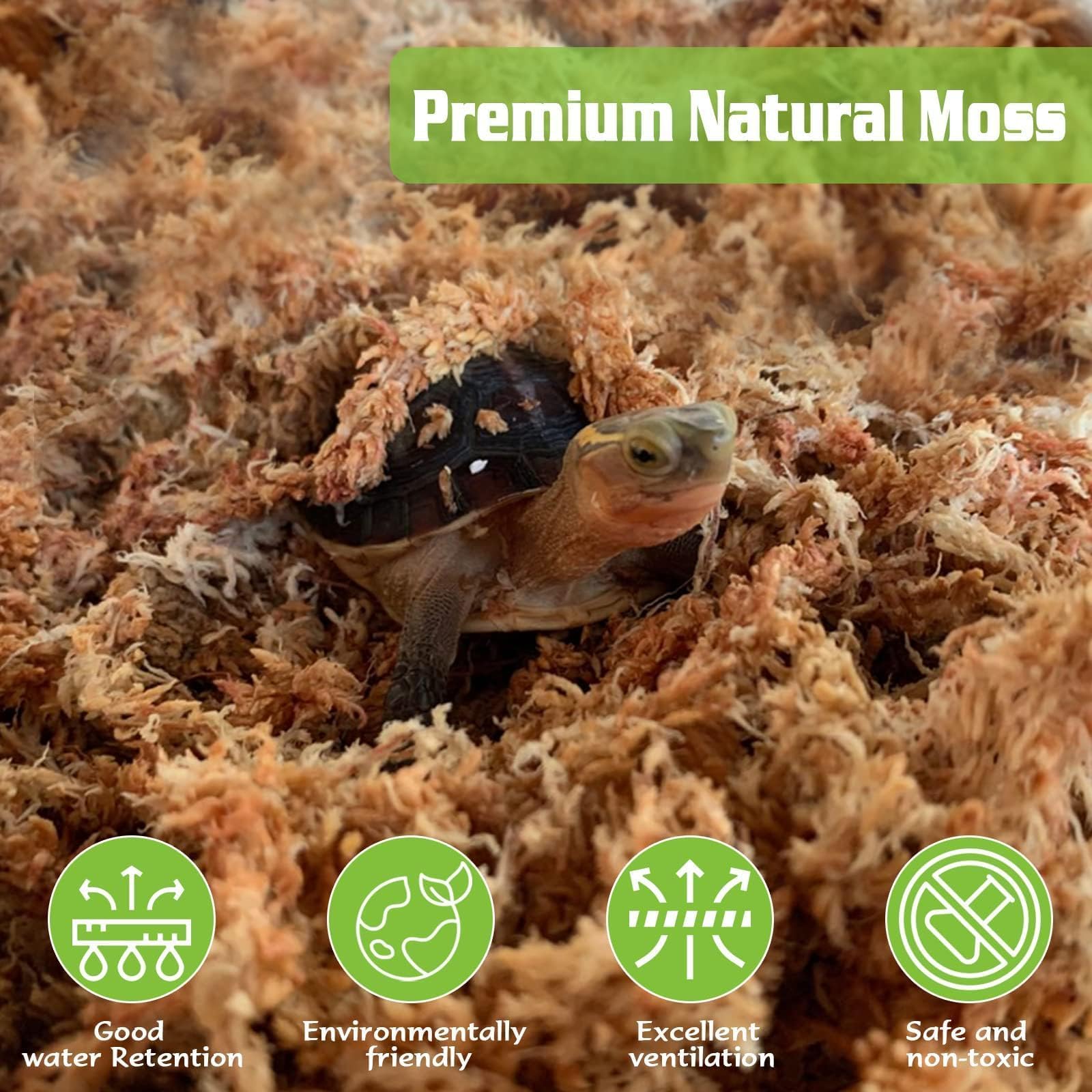 ZeeDix sphagnum moss used for orchid care and healthier root zones.