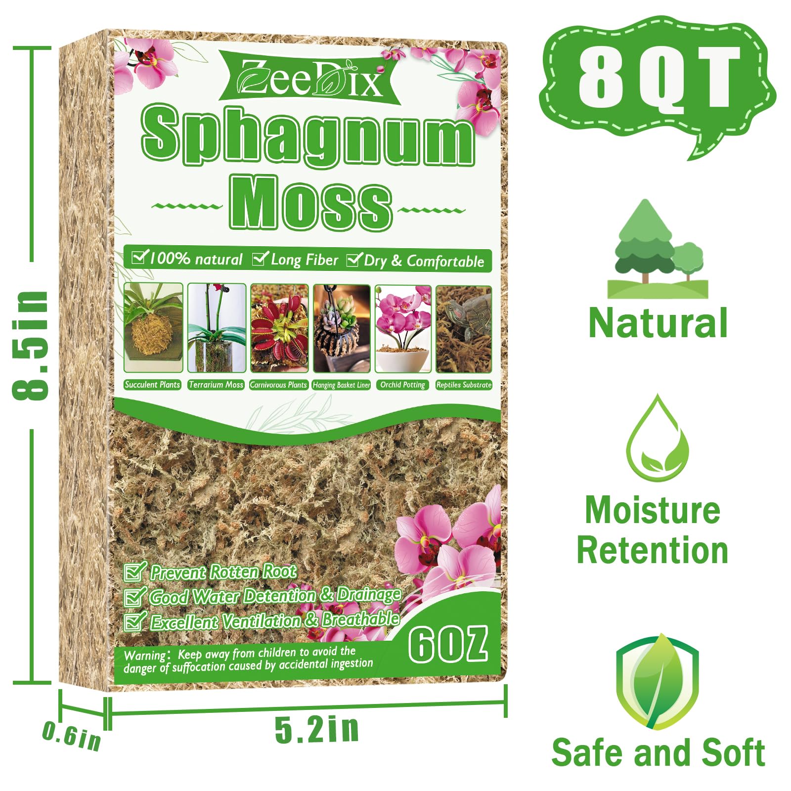 ZeeDix sphagnum moss terrarium scene enhances humidity and microhabitat health.