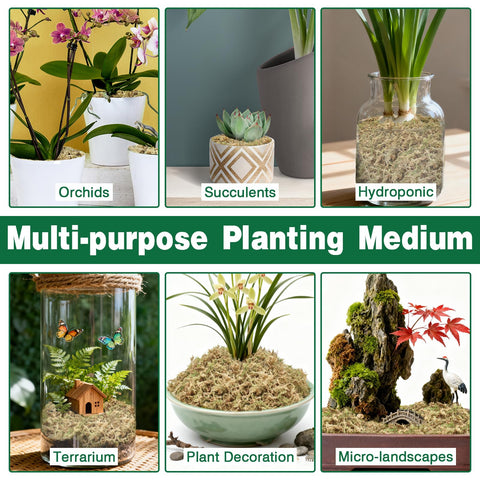 Zeedix Sustainably harvested moss supports eco friendly gardening.