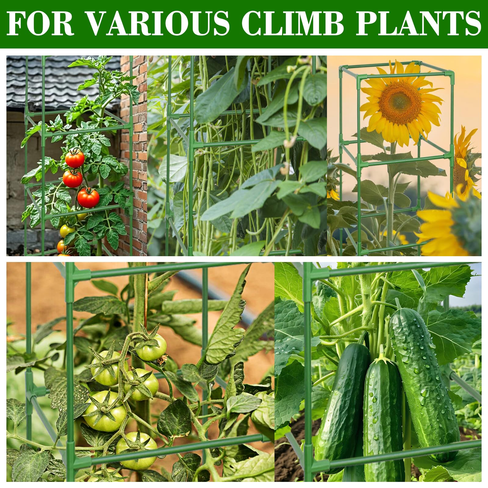 Zeedix plant-safe edges protect stems during setup and growth