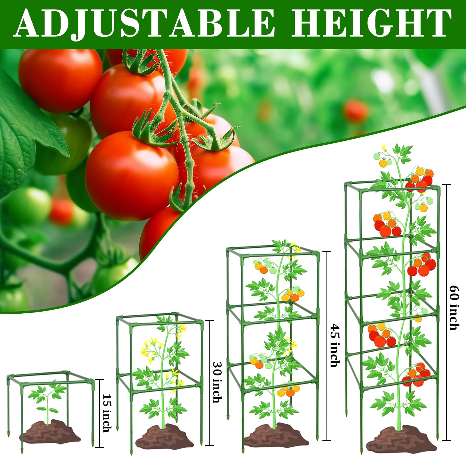 Zeedix triangular-base tomato cage provides stable support for tall, heavy vines