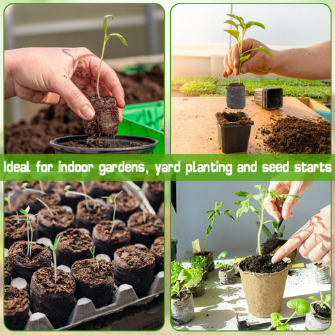 ZeeDix transplant-ready plugs: minimize root disturbance during planting