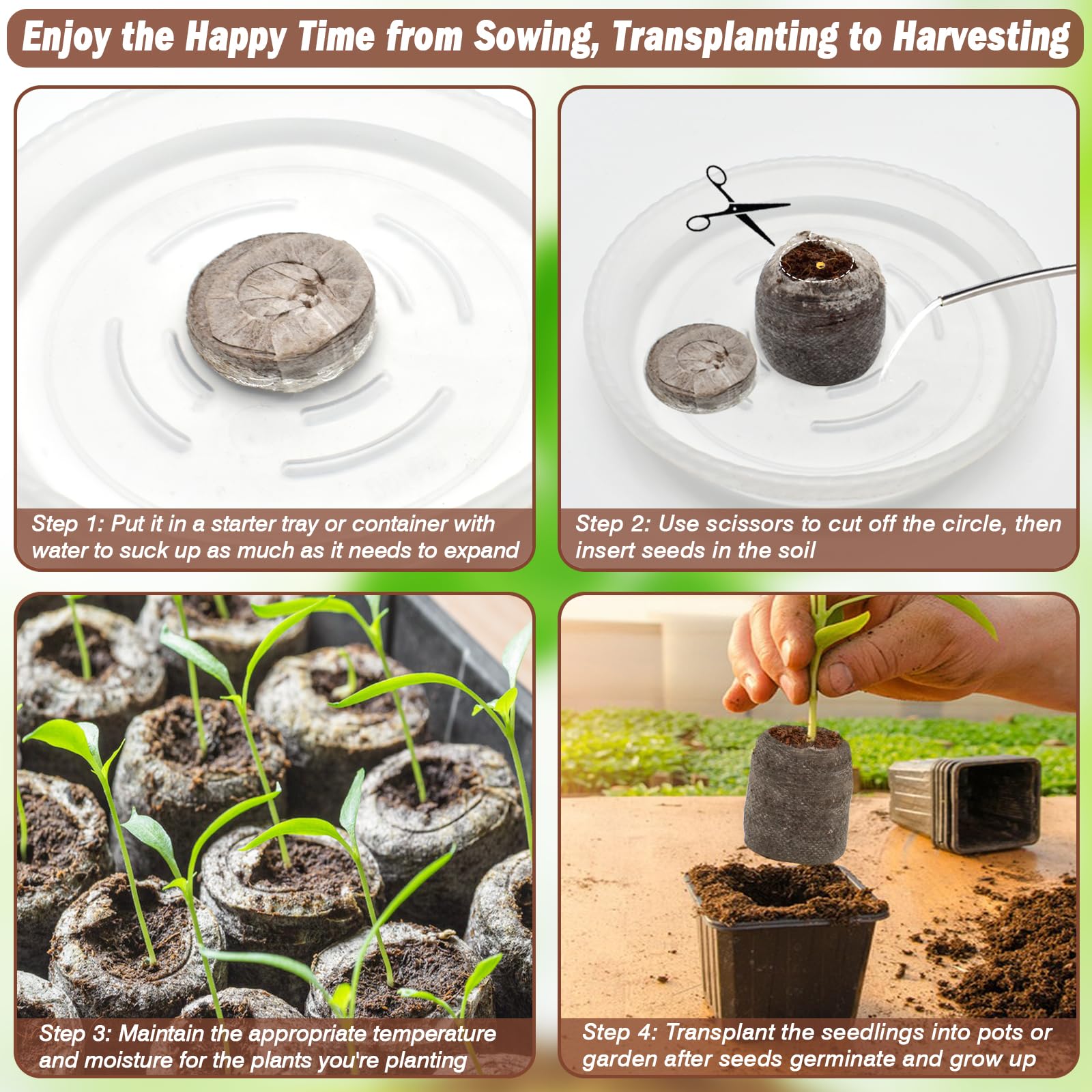 ZeeDix transplant-ready seedling pellets with easy root penetration.