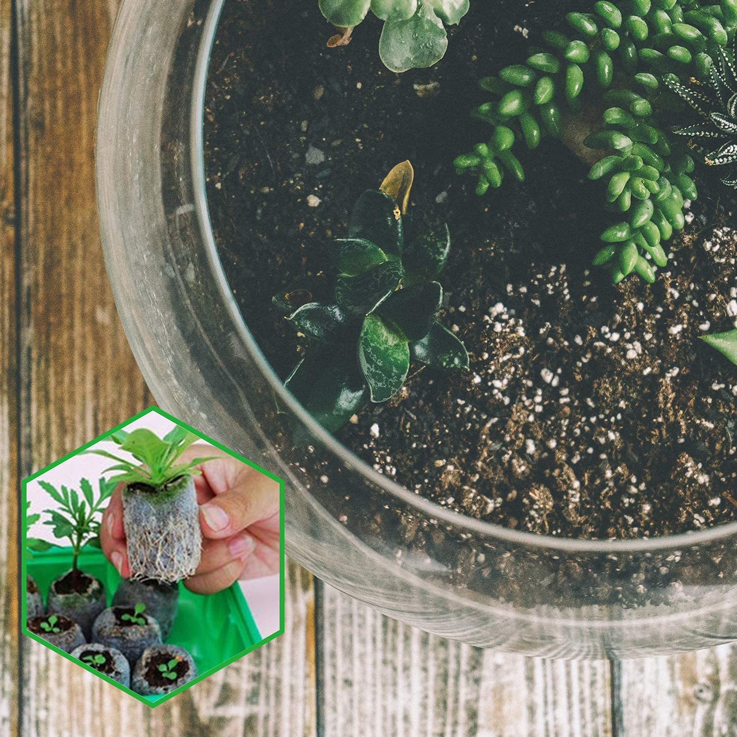 ZeeDix ideal for vegetables, herbs, and flowers in planters.