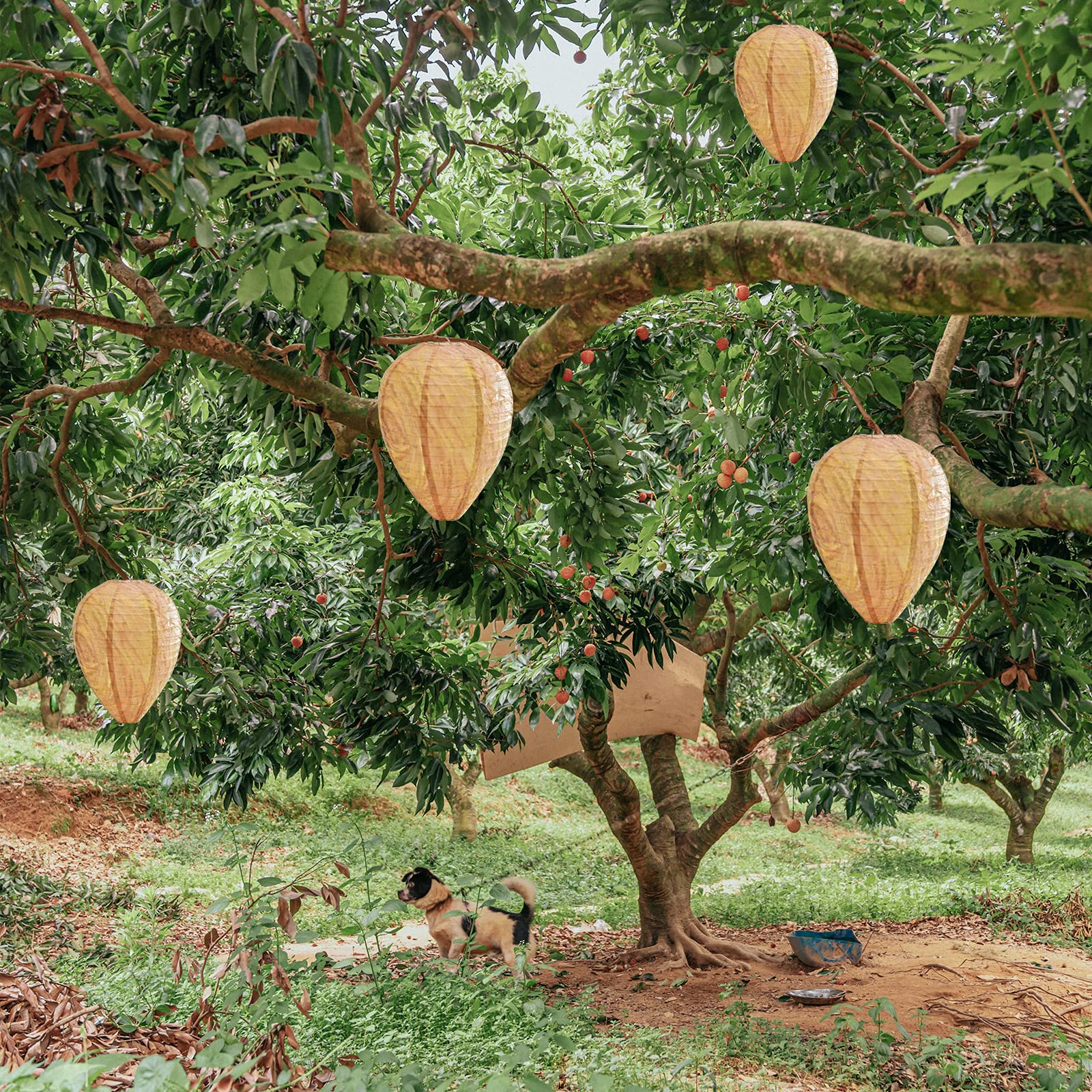 ZeeDix wasp nest decoy shown in wind-stable setup for outdoor use.