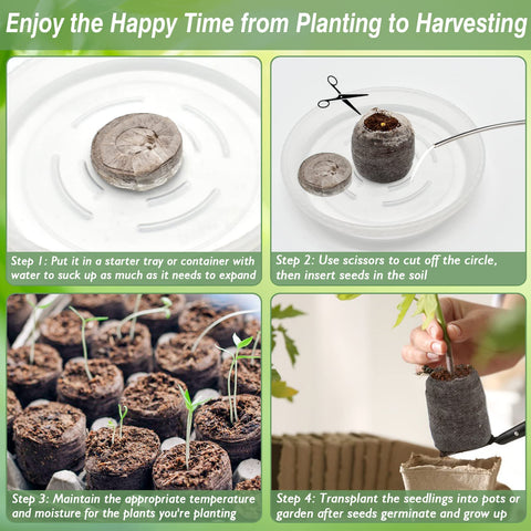 Zeedix water-activated pellets expand easily for beginners.