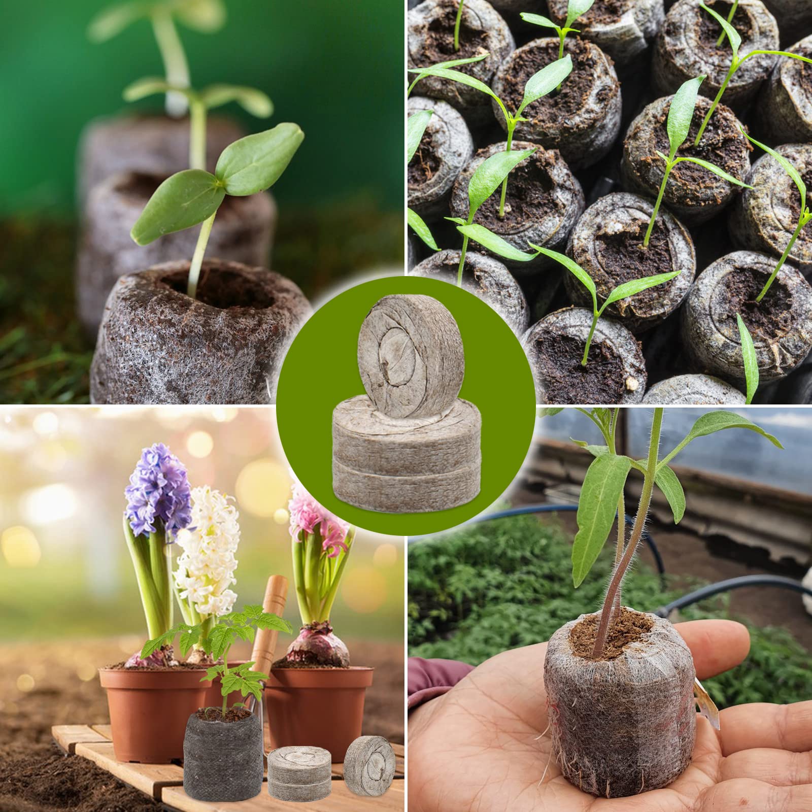ZeeDix seed pellets expand when watered for easy use