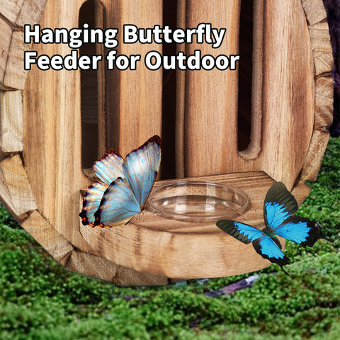 ZeenArt butterfly feeder offers water and nectar to attract pollinators.