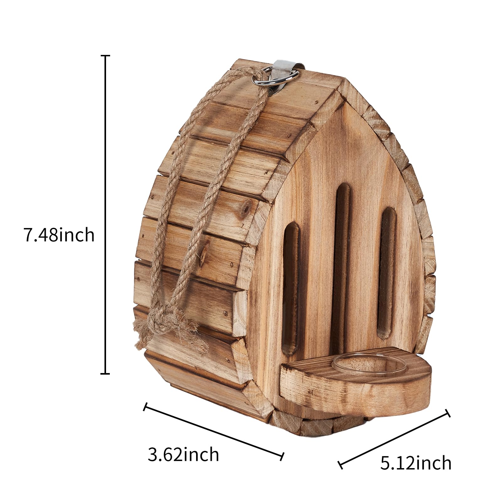 ZeenArt educational gift promotes curiosity through butterfly life cycle observation.