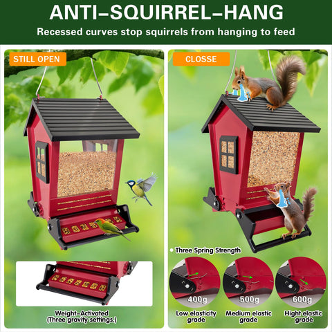 ZeHaiYlf 5-pound capacity feeder minimizes refills while feeding multiple small birds.