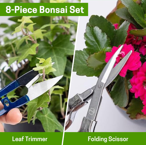 ZELARMAN mini rake, gentle root combing for balanced roots