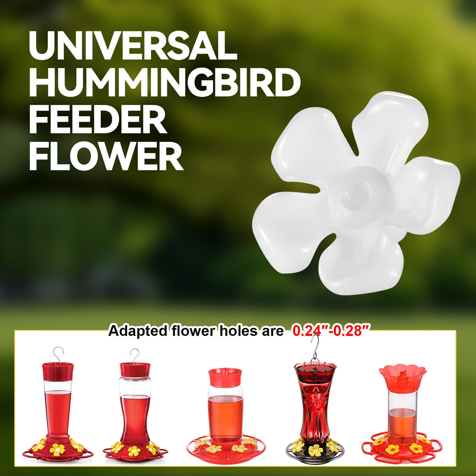 Zelpont all-season hummingbird flowers suitable for outdoor feeders