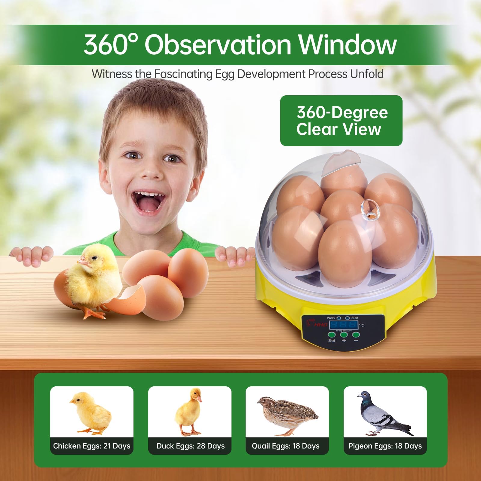 ZEMIRO CHARGE 7-Egg Incubator transparent lid allows clear progress observation.