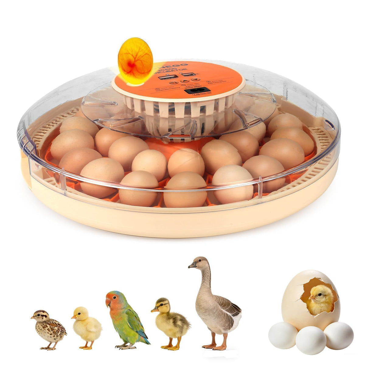 ZEMIRO CHARGE Serie II 30-egg incubator highlights large capacity for experienced hatchers.