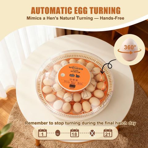 ZEMIRO CHARGE Serie II LED candling provides clear checks.