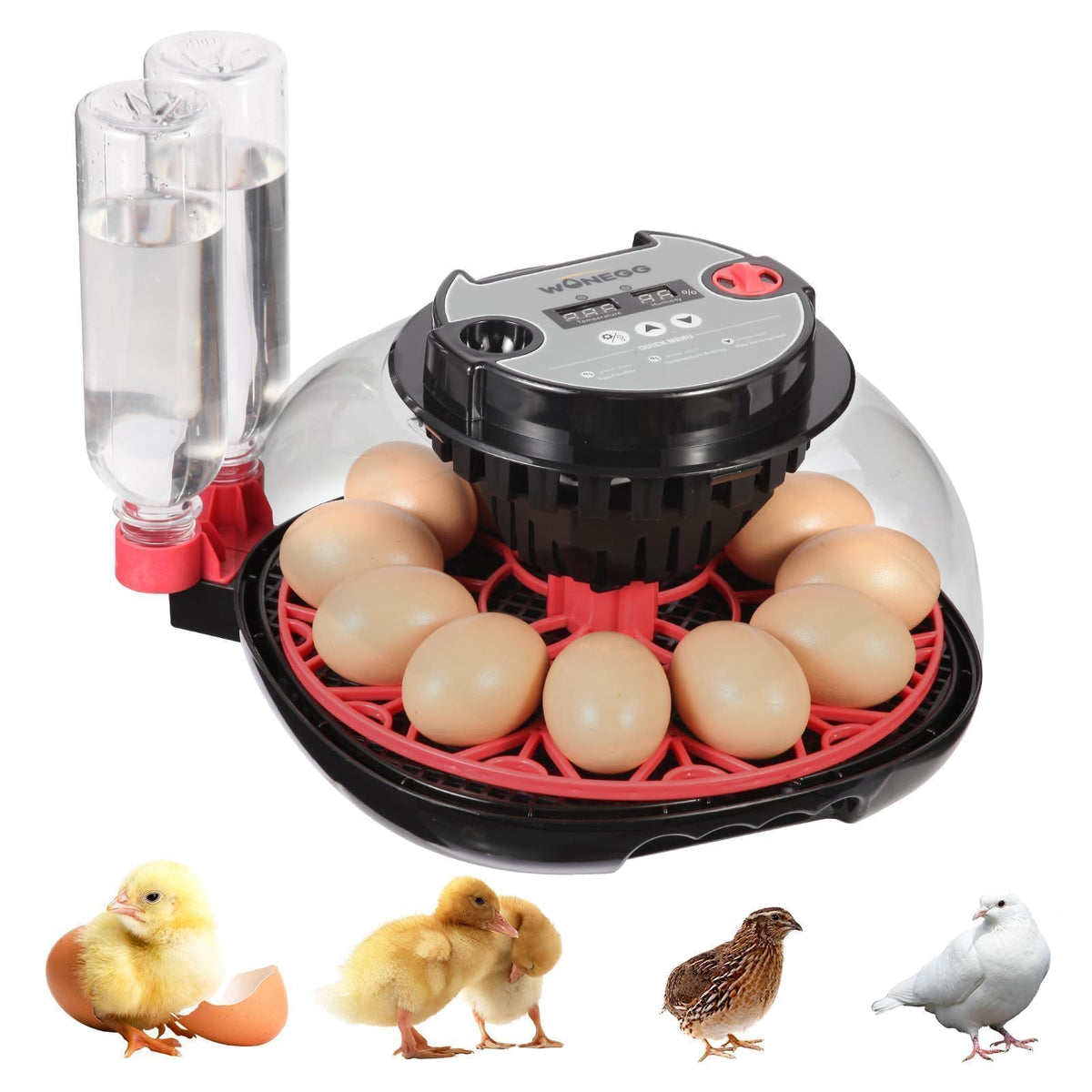 Zemiro Charge Series II 12-egg incubator with dual bottles supports stable humidity.