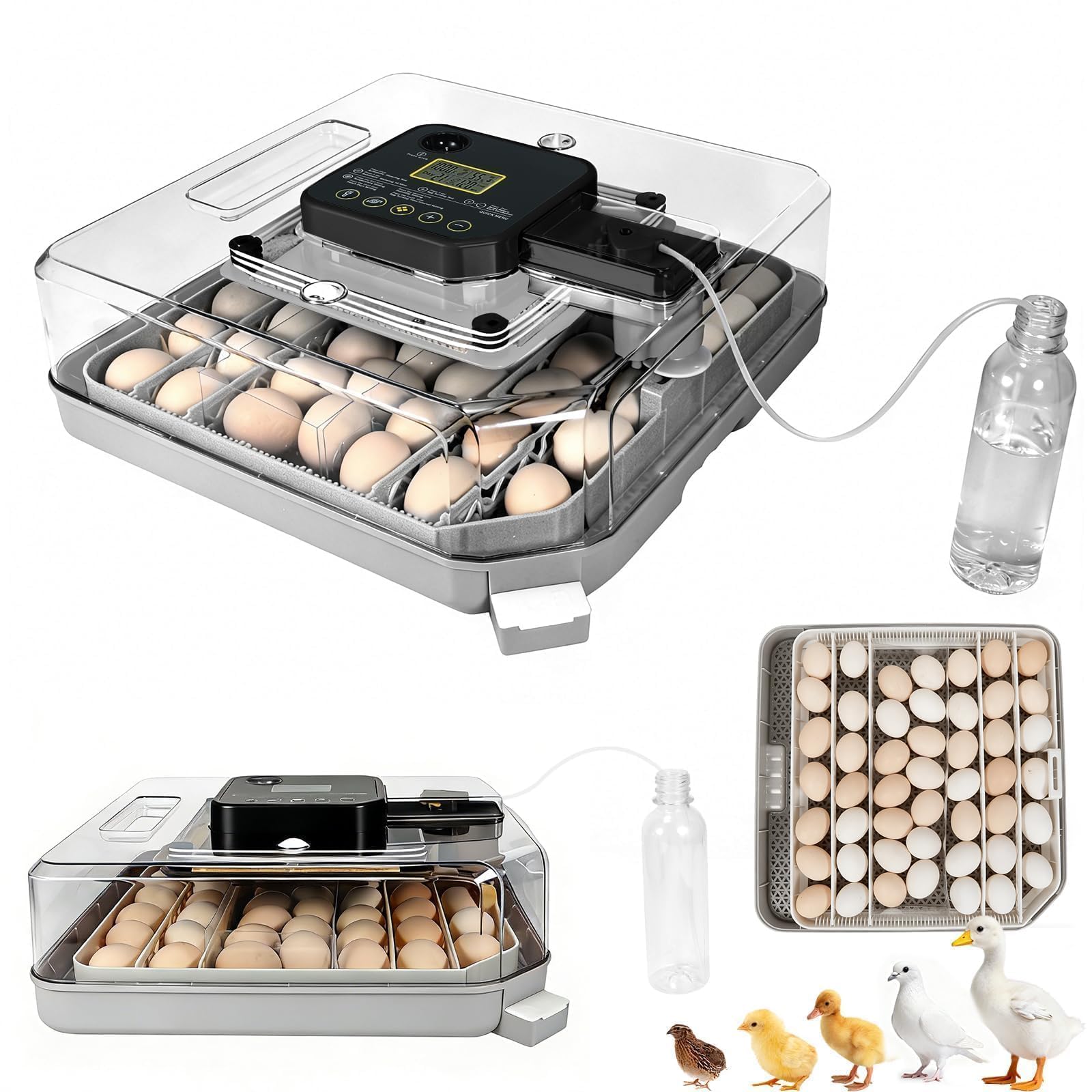 Zemiro Charge Series IV 48-egg incubator front view with lid for easy monitoring.