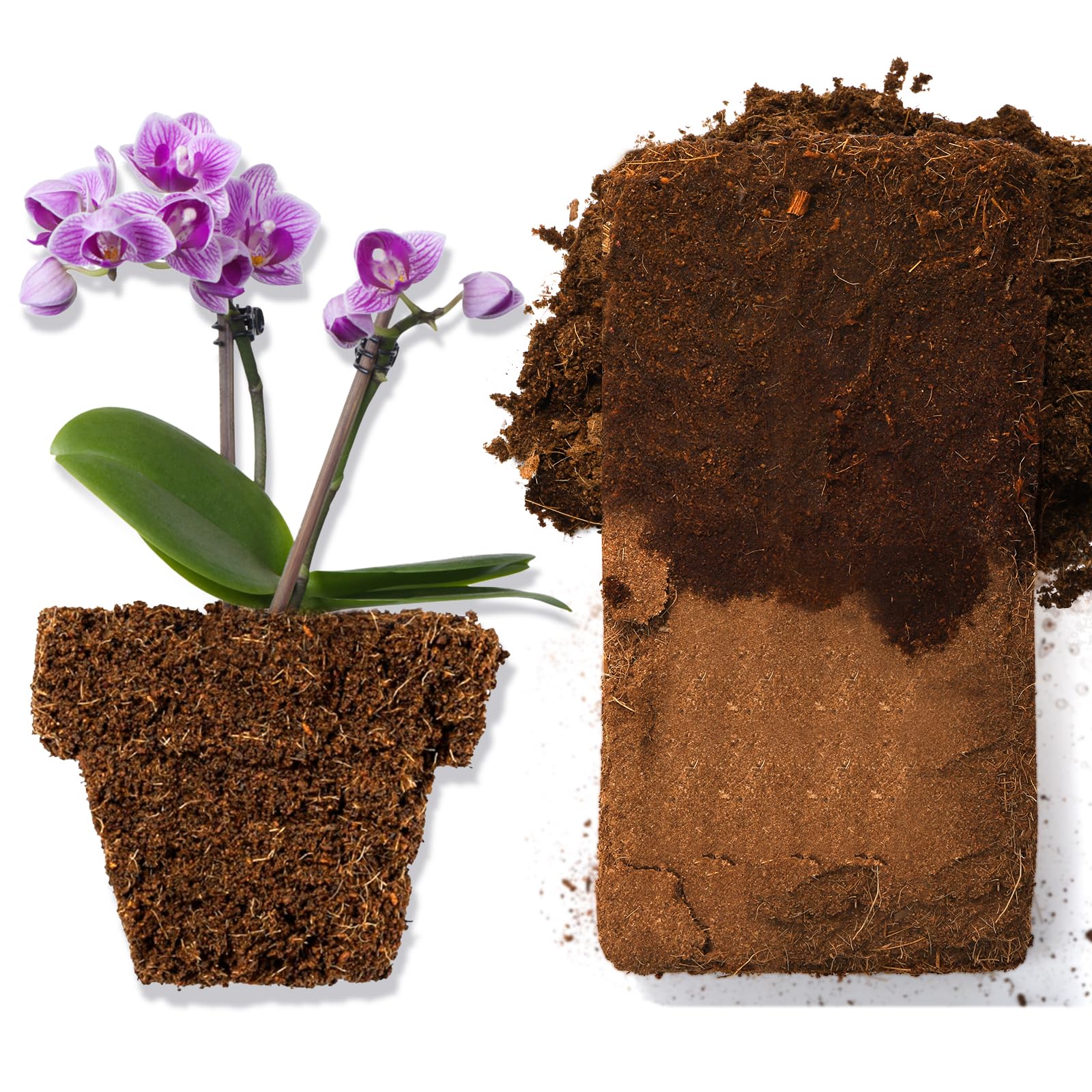 ZENFUN coco coir for seedlings in a pot highlighting reliable water retention.
