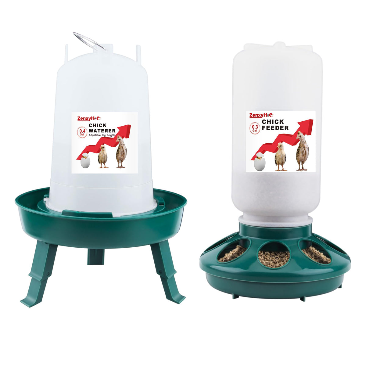 ZenxyHoC 2-in-1 chick feeder in a stable, low-profile setup.
