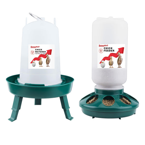 ZenxyHoC 2-in-1 chick feeder in a stable, low-profile setup.