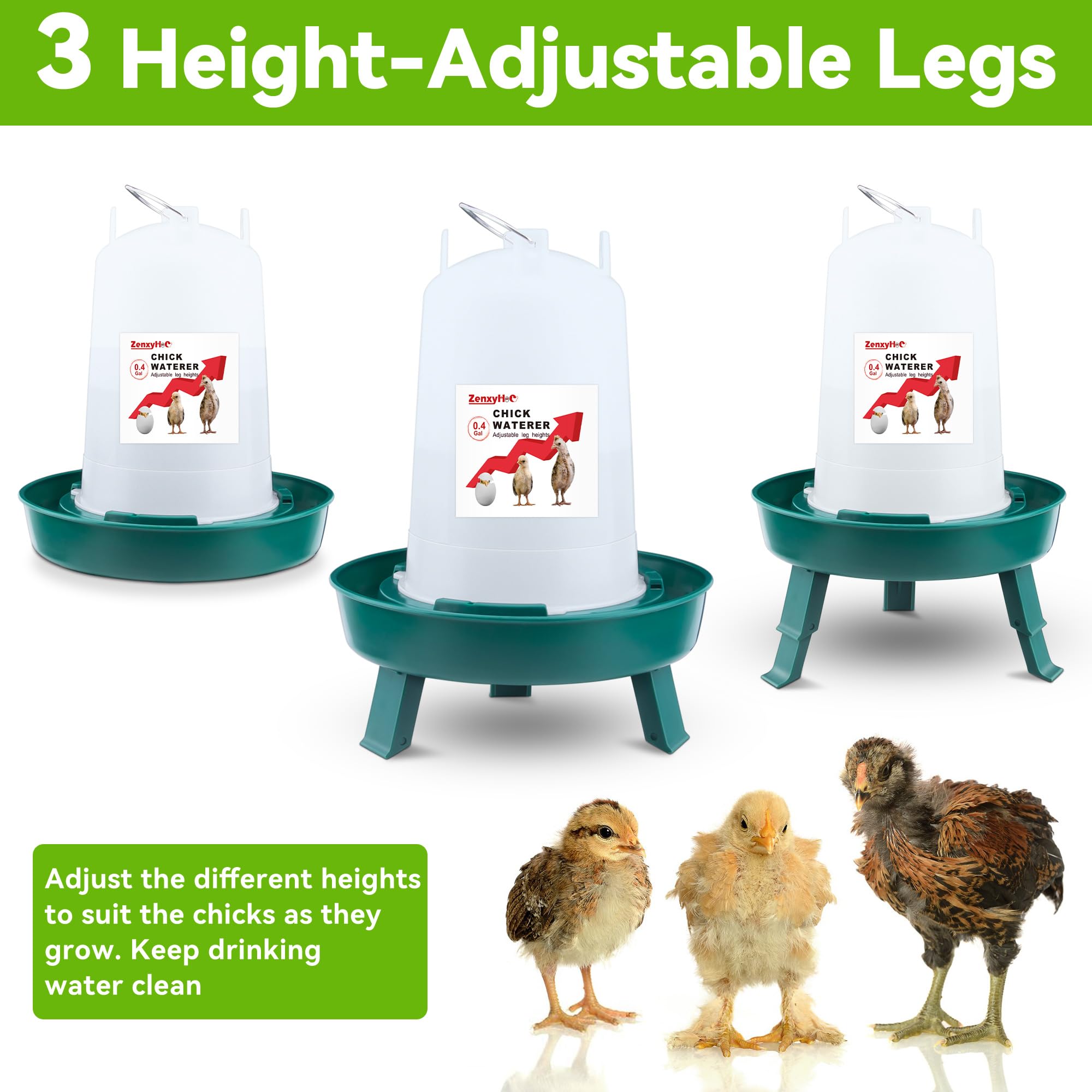 ZenxyHoC 2-in-1 chick waterer with adjustable height for growing chicks.