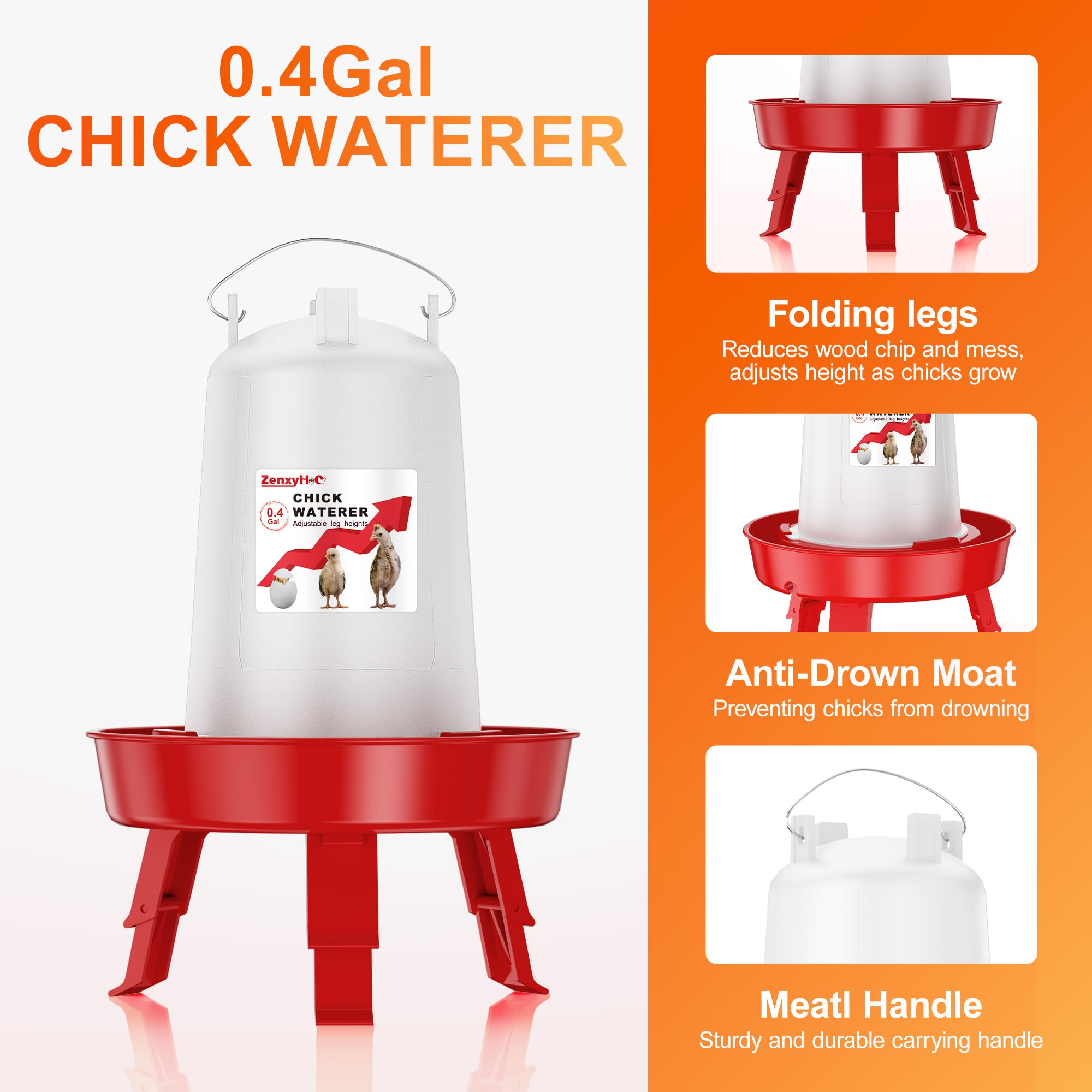 ZenxyHoC adjustable-height waterer supports safe access as chicks mature.