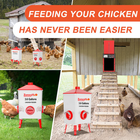 ZenxyHoC backyard farm setup using the 6-port feeder