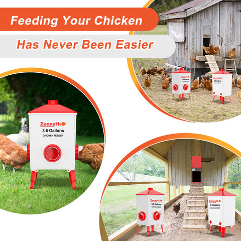 ZenxyHoC automatic feeding system supports busy poultry owners