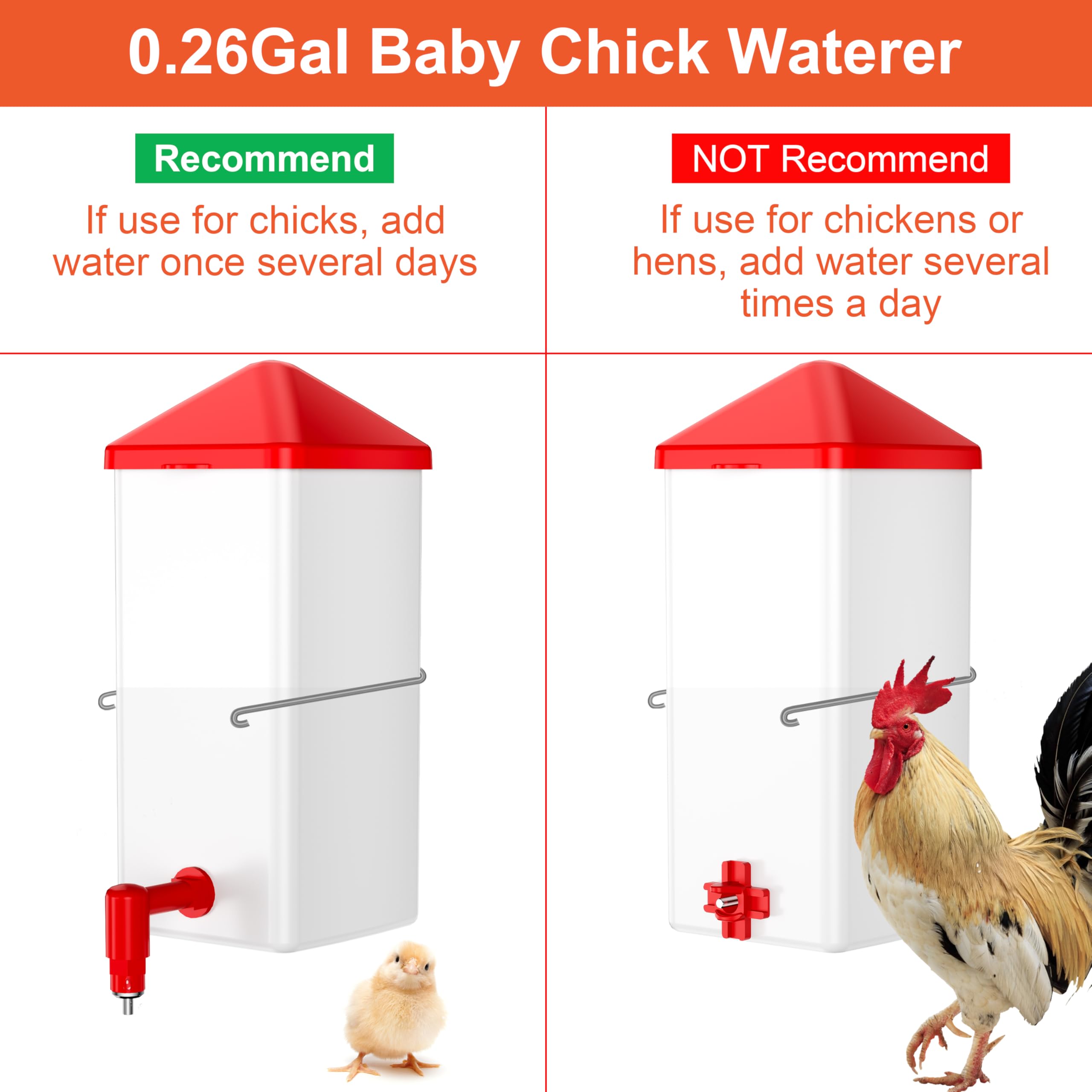 ZenxyHoC Baby Chick Waterer inside cage shows easy water access for chicks.