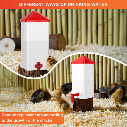 ZenxyHoC Baby Chick Waterer red trigger attracts chicks to drink.