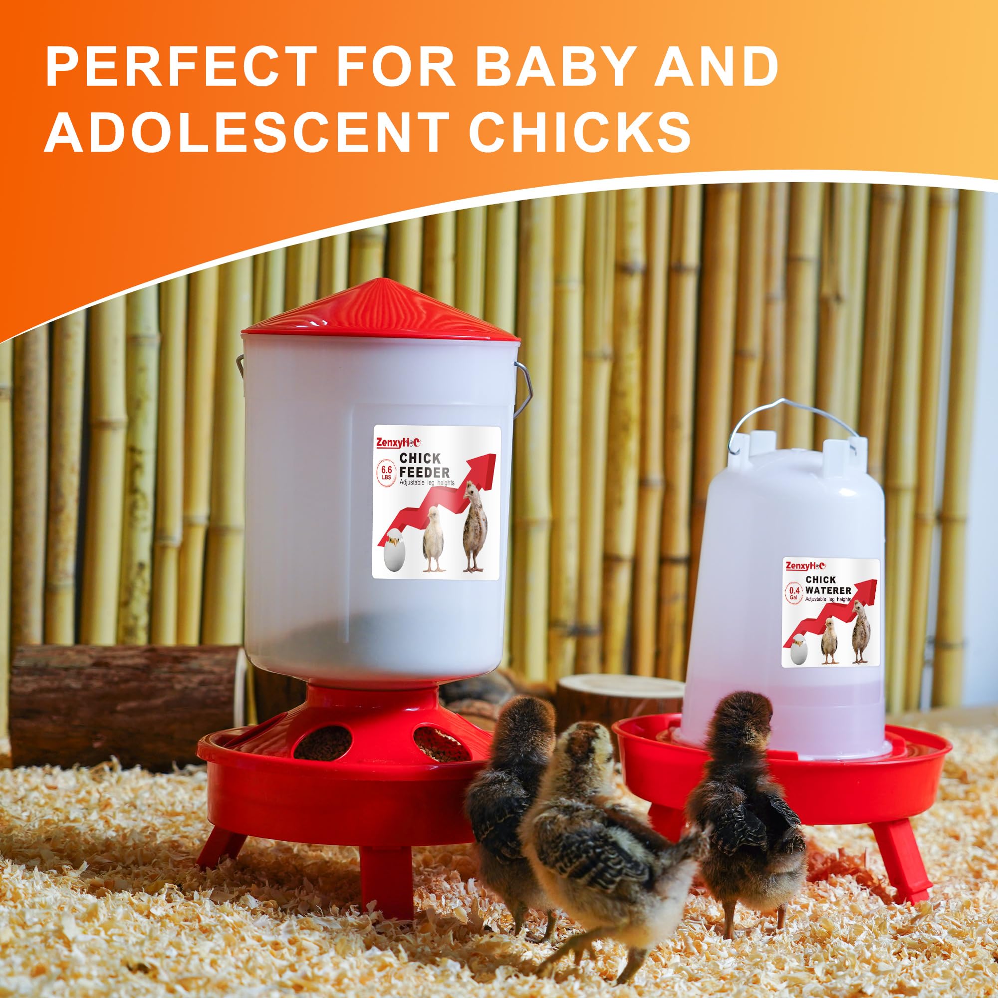 ZenxyHoC BPA-free plastic ensures a safe chick environment.