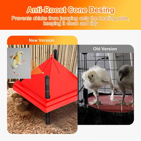 ZenxyHoC brooder plate in use provides consistent warmth for chicks.