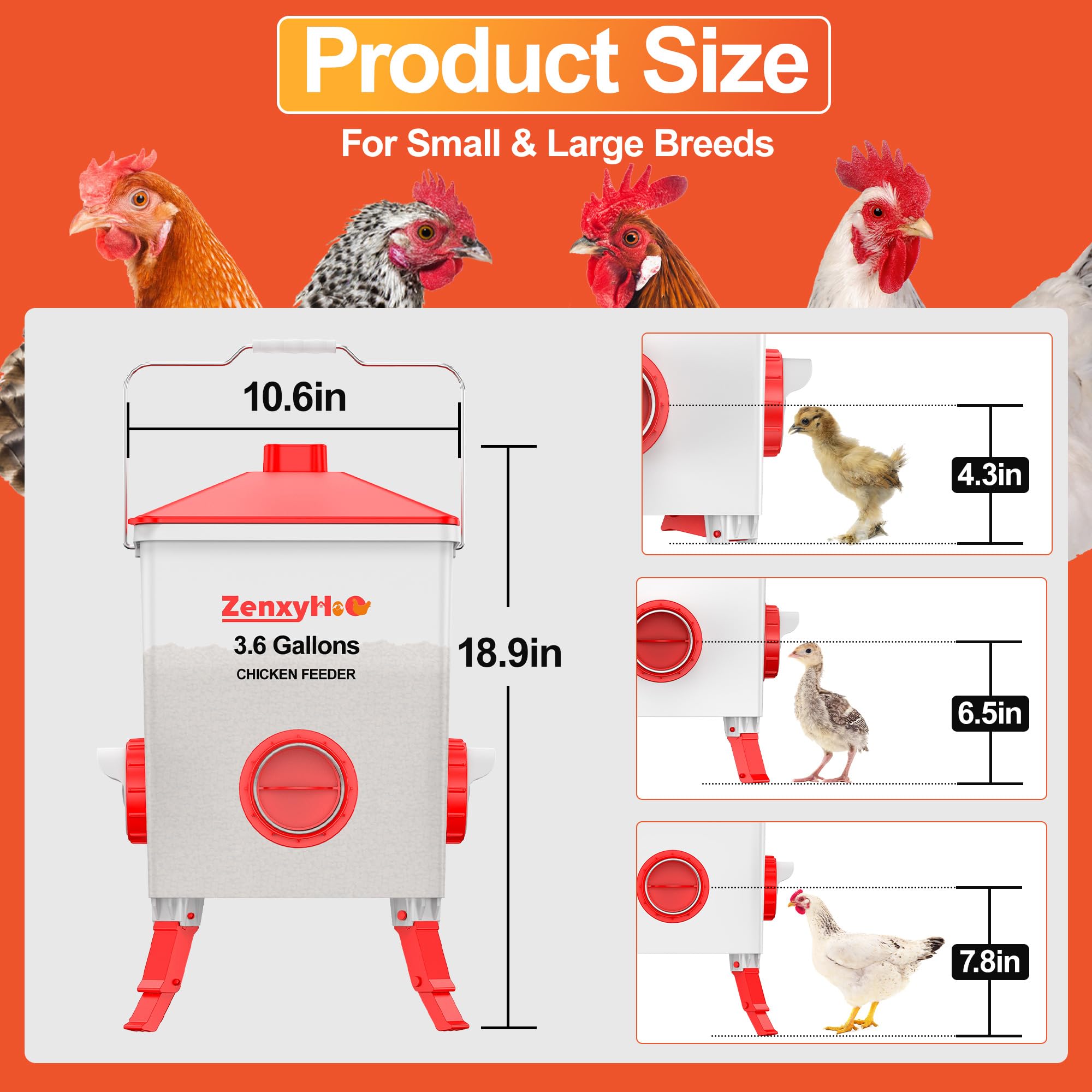 ZenxyHoC 4-port feeder highlights centralized feeding to reduce waste.