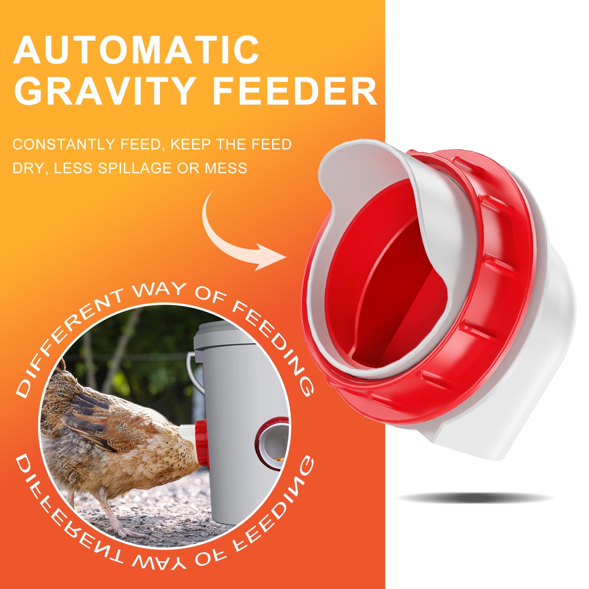 ZenxyHoC chicken feeder no-waste design keeps feed tidy