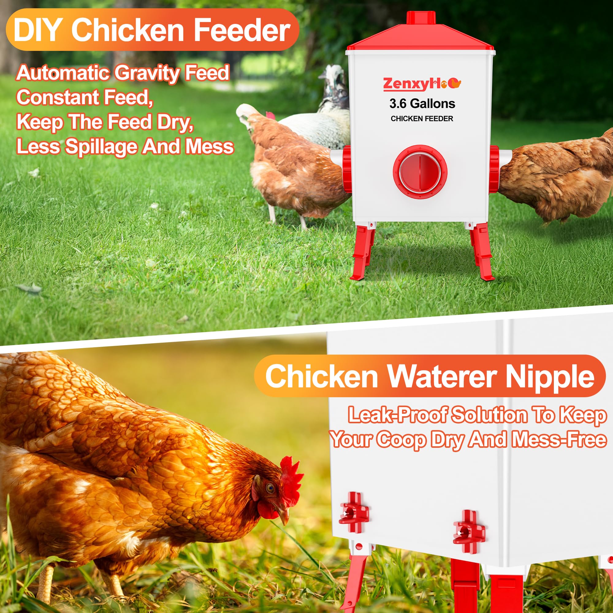 ZenxyHoC 6-pack water nipples shown for clean, controlled hydration in the coop