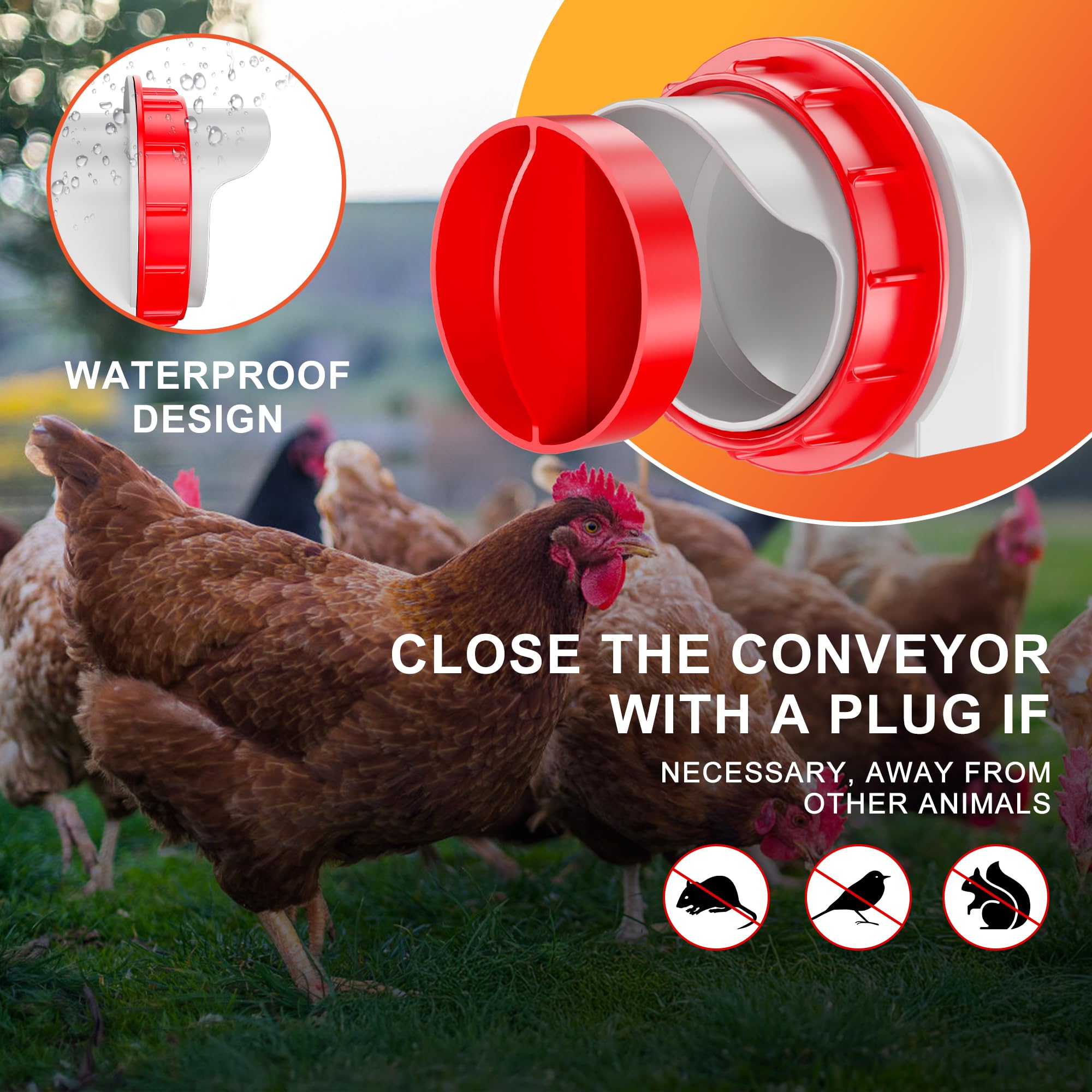 ZenxyHoC coop installation demonstrates a weatherproof setup for outdoor use