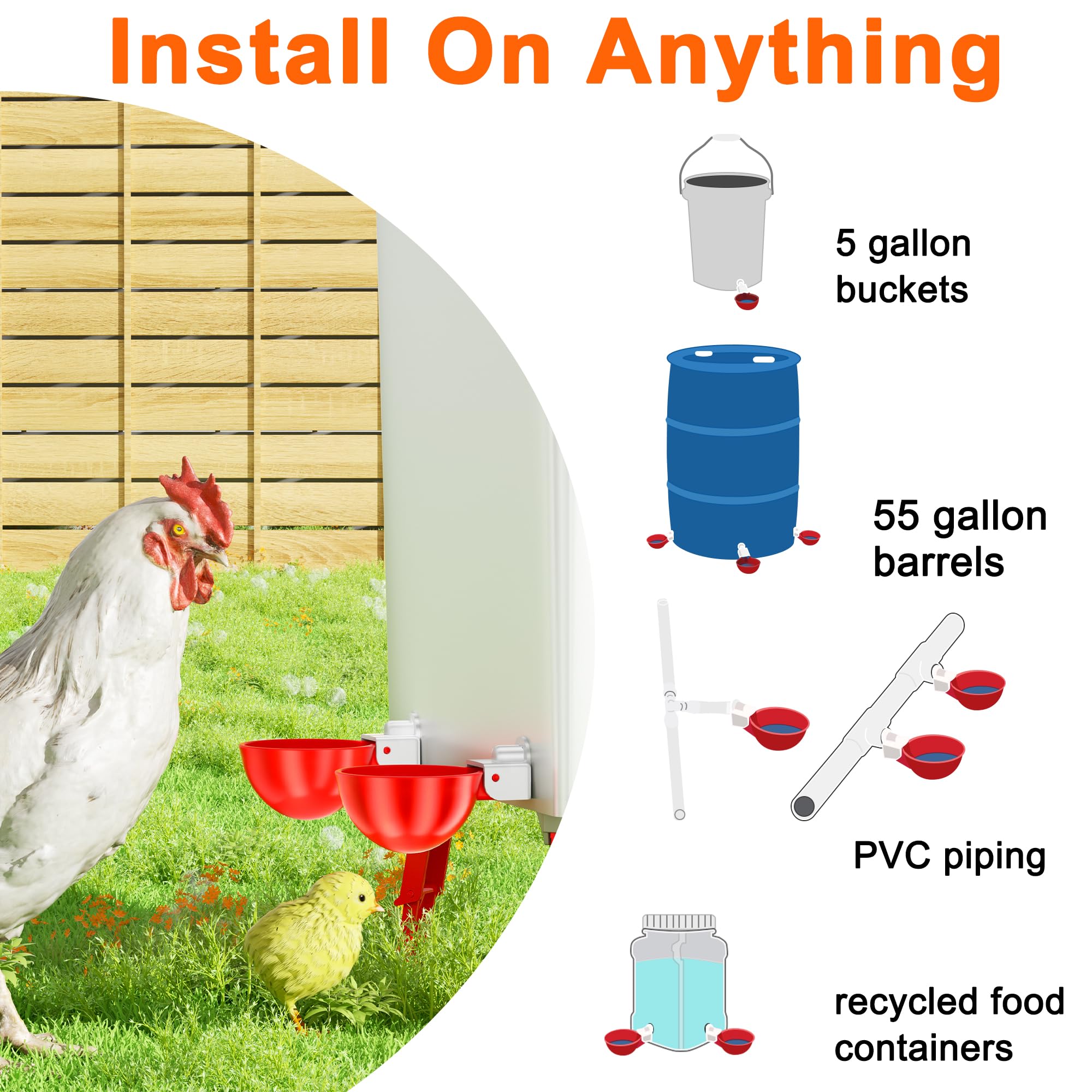 ZenxyHoC dry coop setup reduces soggy bedding and daily cleaning.