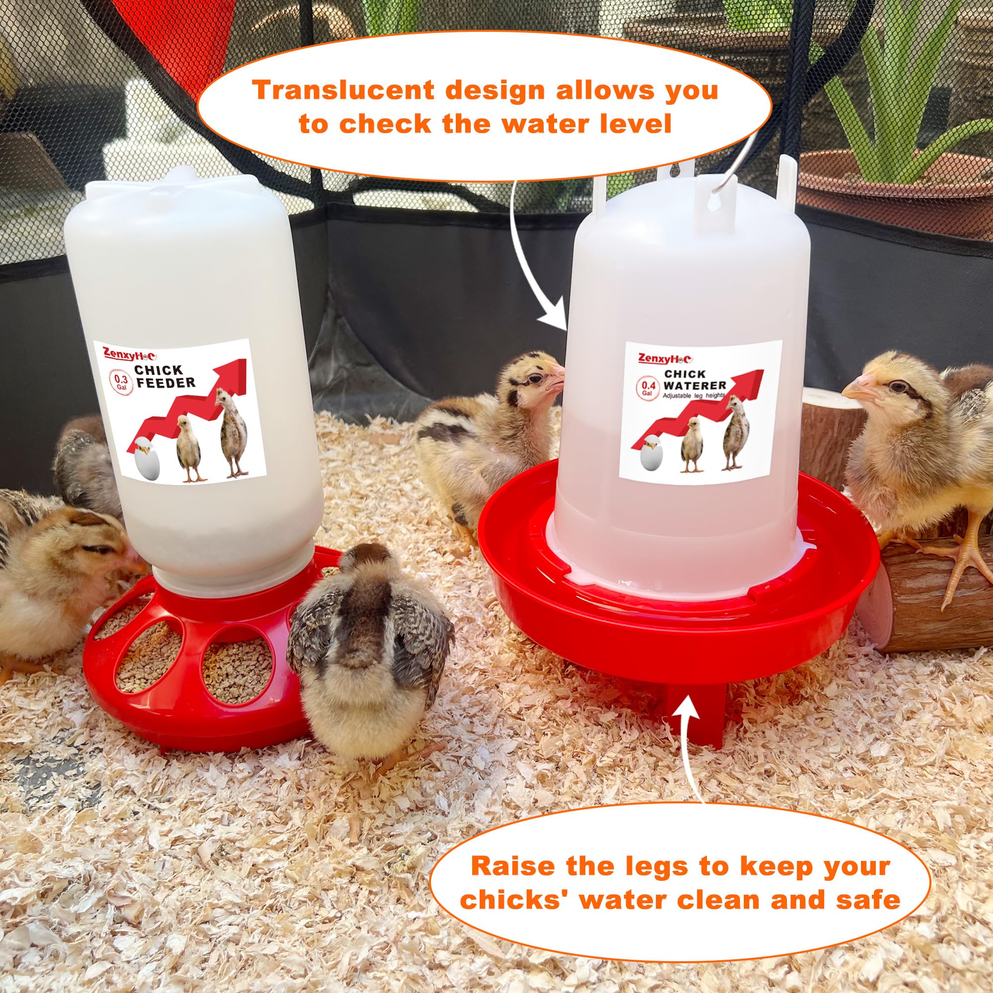 ZenxyHoC feeder shown with hanging hook in a clean brooder