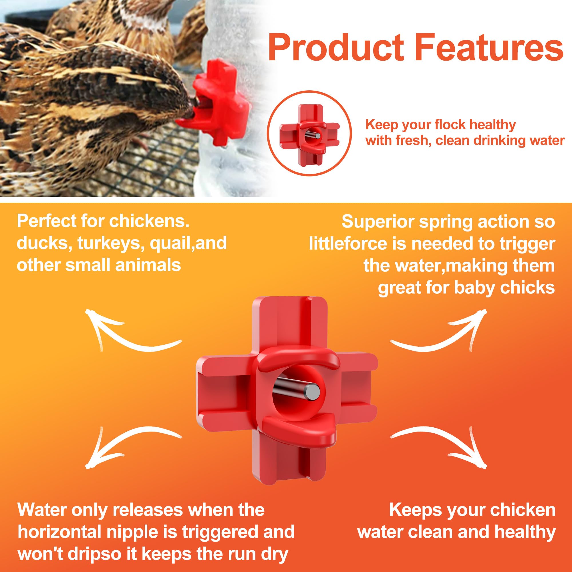 ZenxyHoC leak-proof design prevents drips and keeps the coop dry