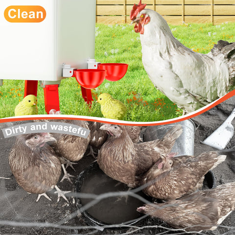 ZenxyHoC reinforced plastic bowls endure pecking and outdoor conditions.