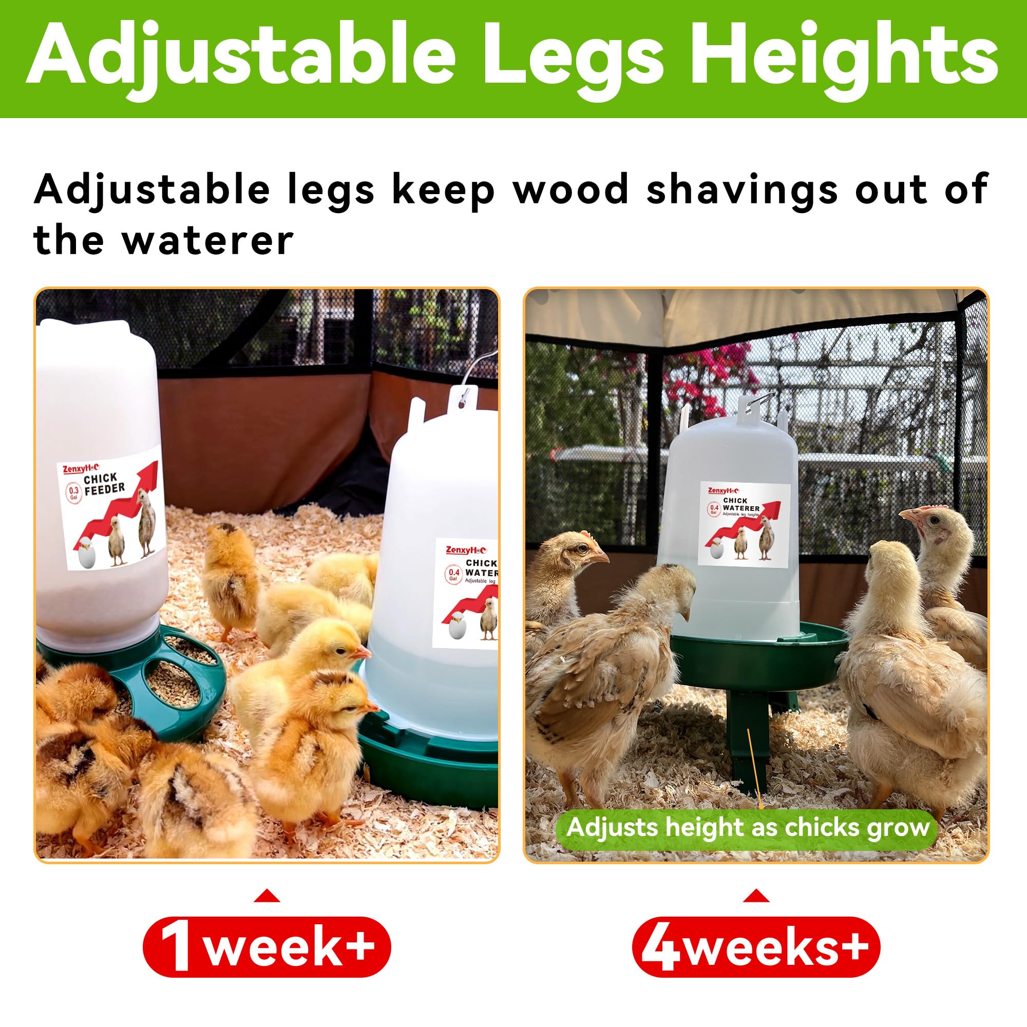 ZenxyHoC BPA-free plastic design for safe chick starter.