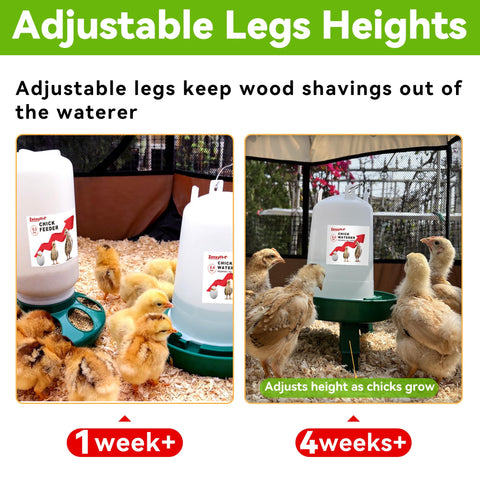 ZenxyHoC BPA-free plastic design for safe chick starter.